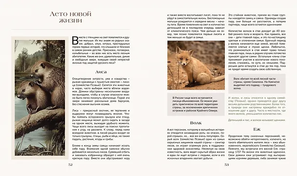 Книга Тайная жизнь леса. Русская природа в фактах и зарисовках (Наталья Савилова) — 8