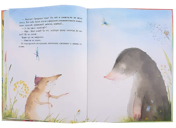 Книга Радуга для Чудика (Наталья Шицкая) — 5