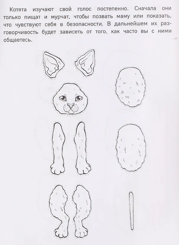 Книга Бумажные котята в шапочках (котенок сфинкса, мейн-куна и др.) Вырежи, раскрась, играй. 12 готовых схем () — 5