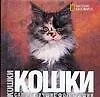 Книга Кошки. Самые лучшие фотографии. Альбом (Катерина Громис ди Трана) — 1