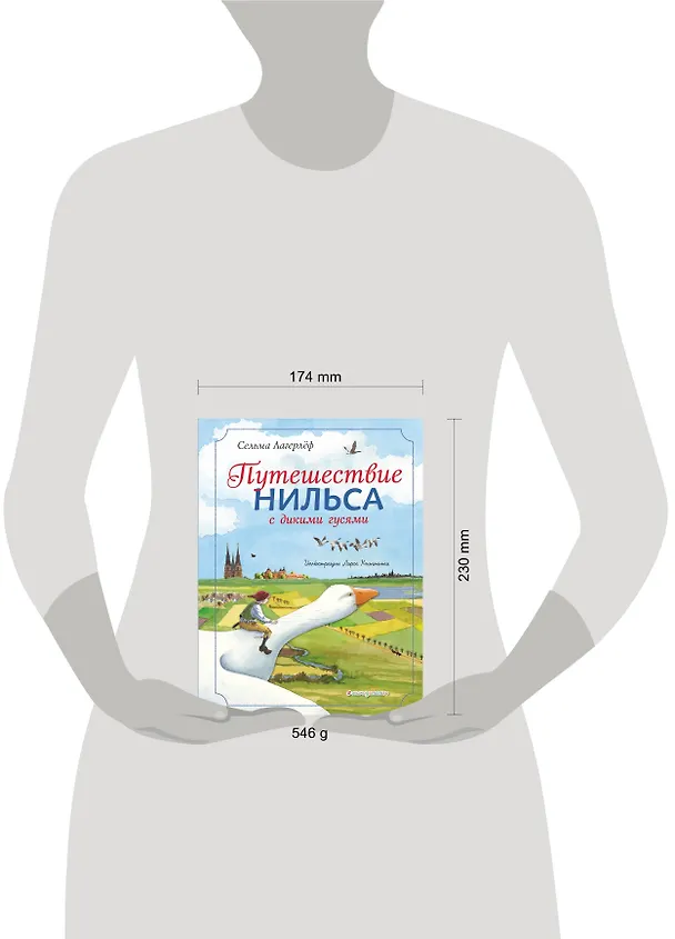 Книга Путешествие Нильса с дикими гусями (ил. Л. Клинтинга) (Сельма Оттилия Лувиса Лагерлёф) — 5