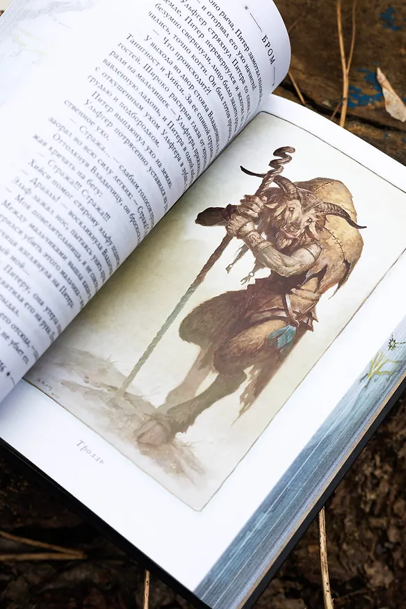 Книга Похититель детей (Джеральд Бром) — 14