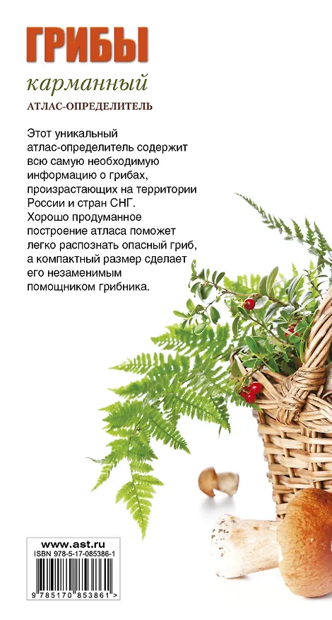 Книга Грибы. Карманный атлас-опредитель (Андрей Поленов) — 2