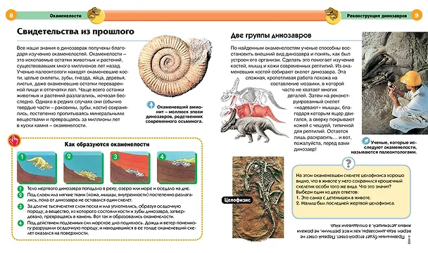 Книга Динозавры () — 3