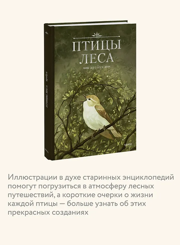 Книга Птицы леса. Артбук (Geo Saiko) — 8