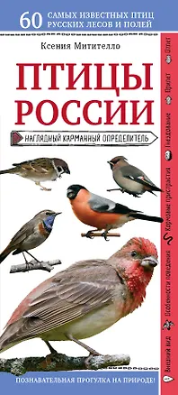 Книга Птицы России. Наглядный карманный определитель (Ксения Митителло)