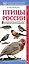 Птицы России. Наглядный карманный определитель — 2651329 — 1