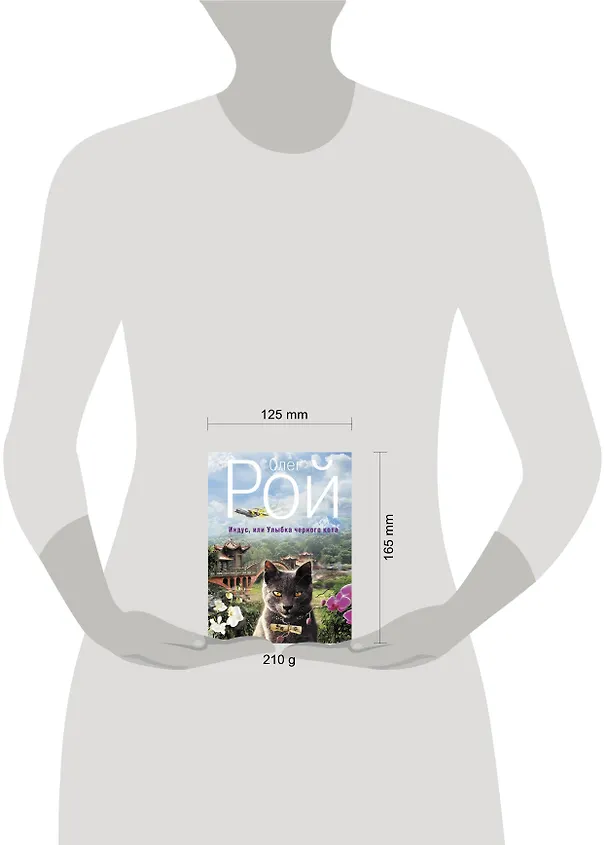 Книга Индус, или Улыбка черного кота: роамн (Олег Рой) — 4