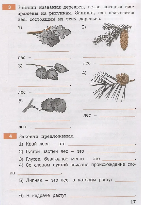 Книга Тренажер по русскому родному языку. 3 класс () — 3