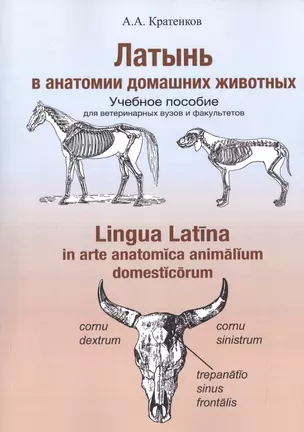 Латынь в анатомии домашних животных. Уч. пособие (мУдВ СпецЛит) Кратенков — 2523883 — 1