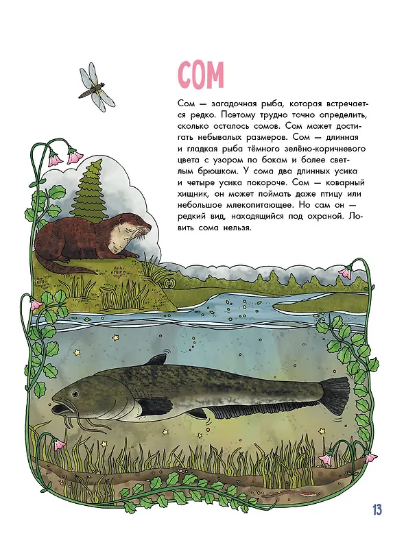 Книга Рыбы (Эмма Янссон) — 8