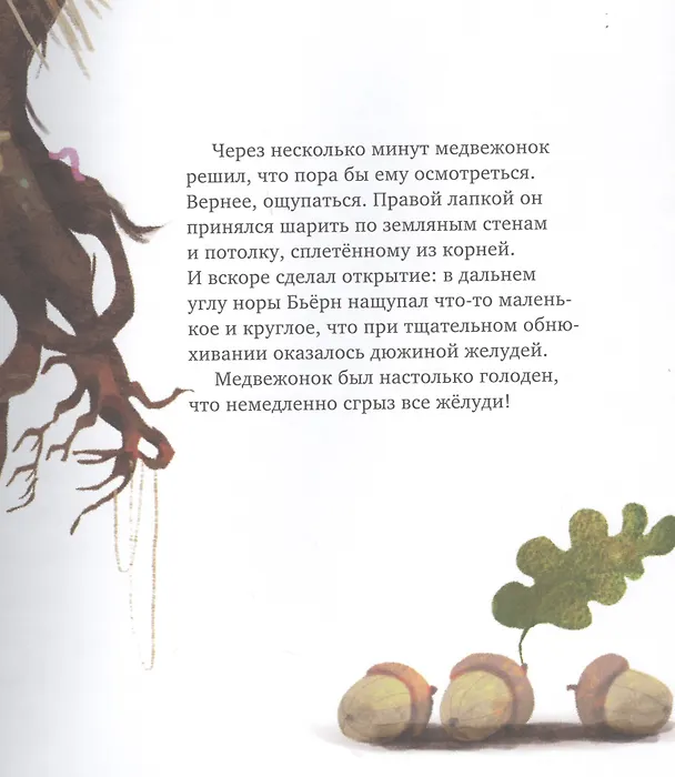 Книга Берлога для Бьерна (Борис Войцеховский) — 5