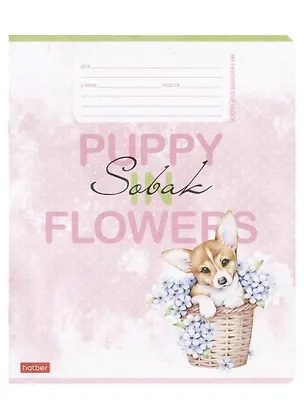 Тетрадь в линейку Hatber, "Пушистое счастье", 12 листов, в ассортименте 2884615