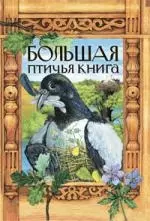 Большая птичья книга — 2213186 — 1