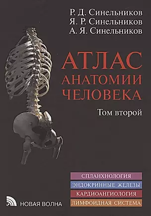 Атлас анатомии человека. В 3 томах. Том второй. Учение о внутренностях, эндокринных железах, сердечно-сосудистой и лимфоидной системах — 2864558 — 1