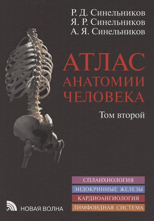 Книга Атлас анатомии человека. В 3 томах. Том второй. Учение о внутренностях, эндокринных железах, сердечно-сосудистой и лимфоидной системах (Александр Синельников) — 1