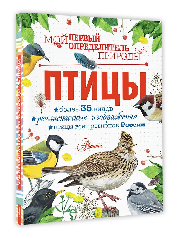 Книга Птицы (Мария Рахчеева) — 4