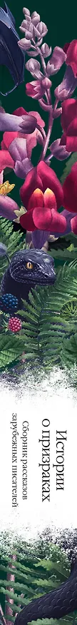 Книга Истории о призраках (Элджернон Блэквуд, Джозеф Ле Фаню, Эдит Уортон) — 5