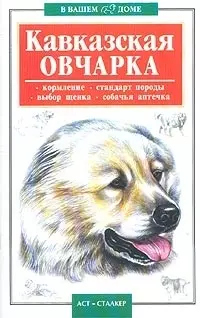 Кавказская овчарка — 1458686 — 1