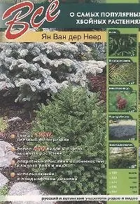 Все о самых популярных хвойных растениях