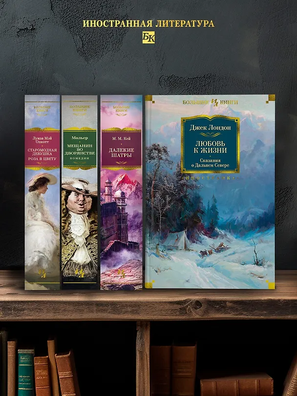 Книга Любовь к жизни. Сказания о Дальнем Севере (Джек Лондон) — 6