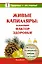 Живые капилляры: Важнейший фактор здоровья! — 2416436 — 1