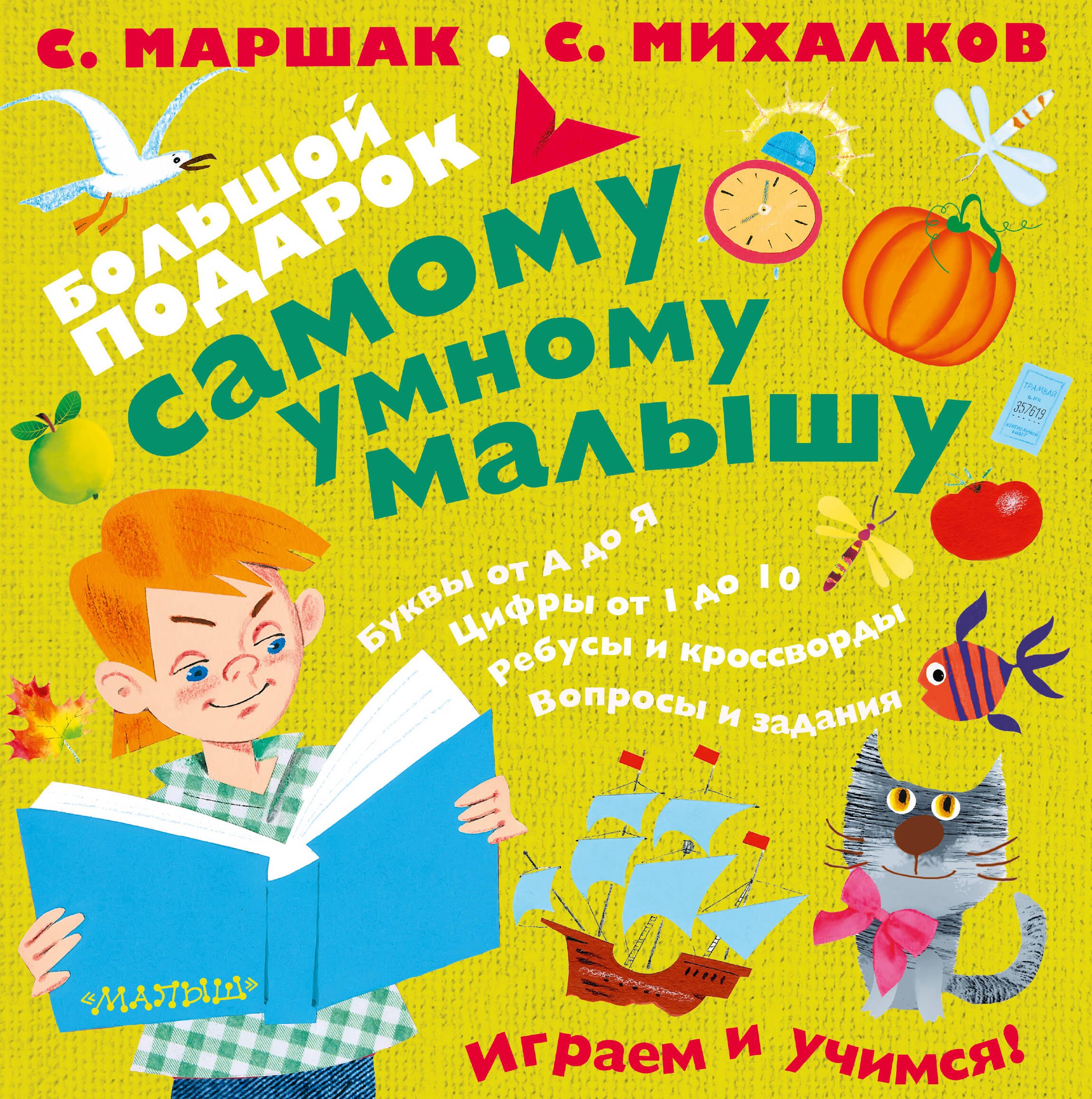 

Большой подарок самому умному малышу(под/комплект)