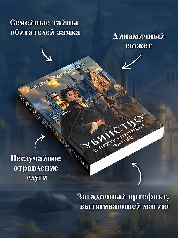 Книга Убийство в приграничном замке (#4) (Андрей Волковский) — 8