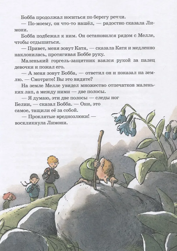 Книга Горгели и тайна ледника (Йохем Майер) — 4