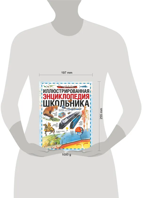 Книга Иллюстрированная энциклопедия школьника (Виктория Чуткова) — 4