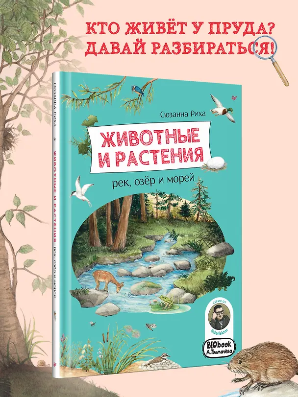 Книга Животные и растения рек, озёр и морей. BIObook А. Толмачёва (Сюзанна Риха) — 5