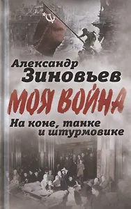 На коне, танке и штурмовике. Записки воина-философа