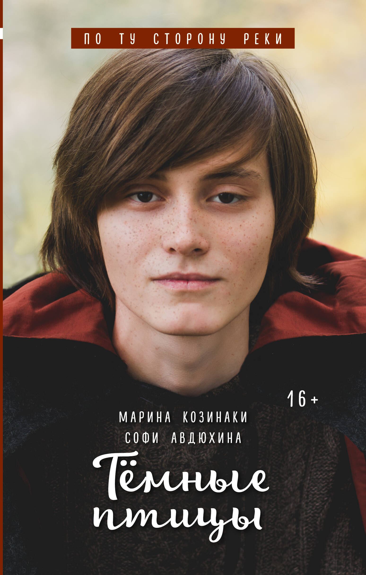 Обложка книги «Тёмные птицы»