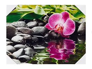 Картина Орхидея у воды и черные камни (30х40) (740-007) 2430660