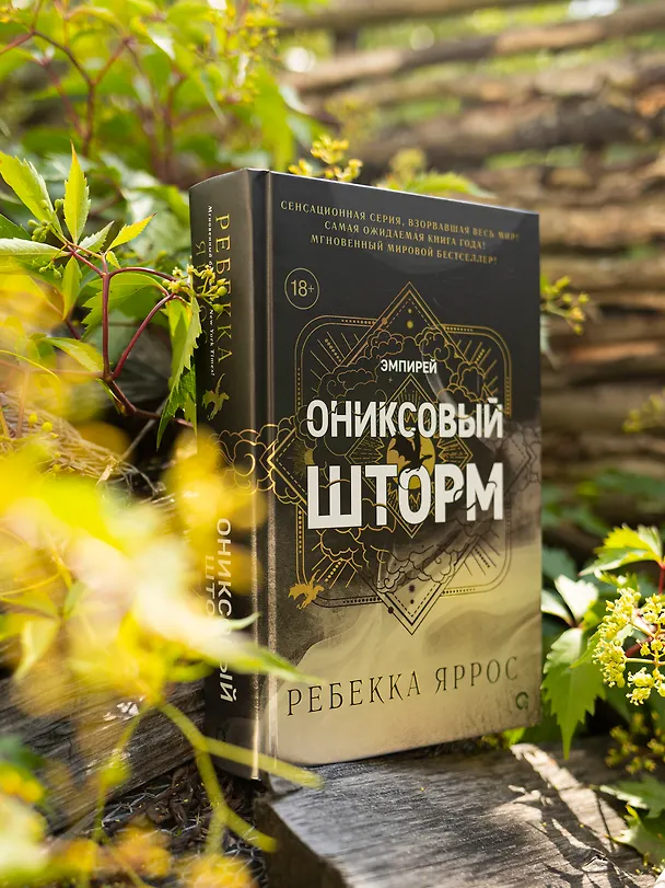 Книга Ониксовый шторм (черный обрез) (Ребекка Яррос) — 9