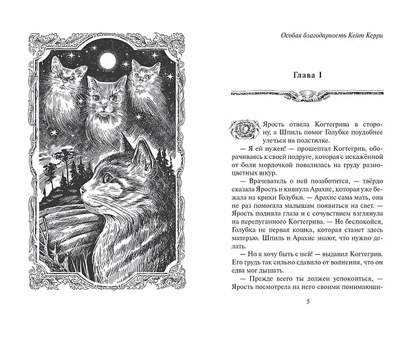 Книга Тень Когтегрива. Книга 2. Возвращение (Эрин Хантер) — 2