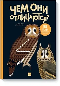 Чем они отличаются? 58 пар, которые легко перепутать