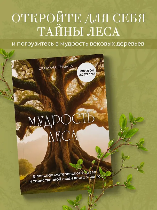 Книга Мудрость леса. В поисках материнского древа и таинственной связи всего живого (Сюзанна Симард) — 5