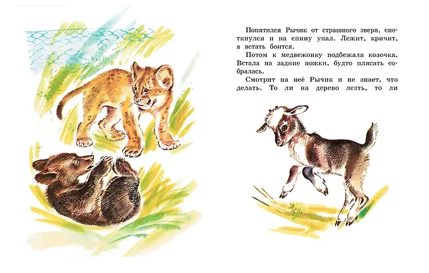 Книга Рычик и Ласка (Рисунки В. Горячевой) (Вера Чаплина) — 4
