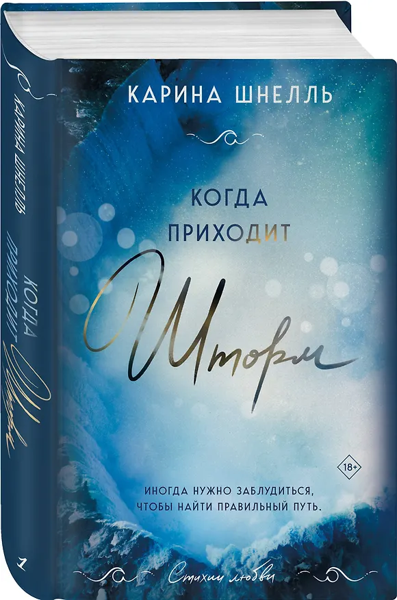 Книга Когда приходит шторм (Карина Шнелль) — 4