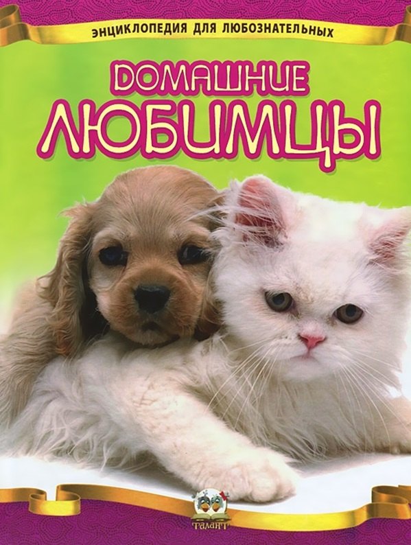 

Домашние любимцы