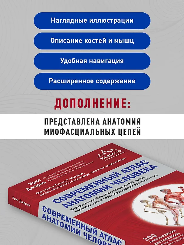 Книга Современный атлас анатомии человека. Карманное пособие по строению костей, мышц, миофасциальных цепей и принципам движения тела (Крис Джарми) — 6