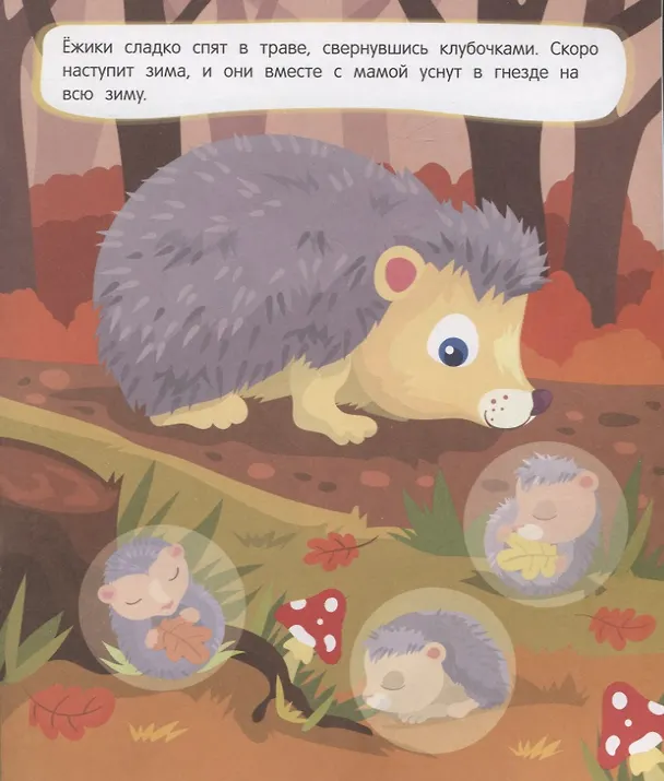 Книга Мамы и малыши. Лес. 22 наклейки (Юлия Разумовская) — 5