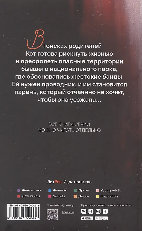 Книга Пустота (Анфиса Ширшова) — 2