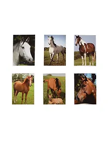 Блокнот Кони (1209-ED062) (Веста Трейд)