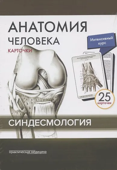 Книга Анатомия человека. Синдесмология (25 карточек) (Владимир Николенко, М.О. Тимофеева, Михаил Сапин) — 2