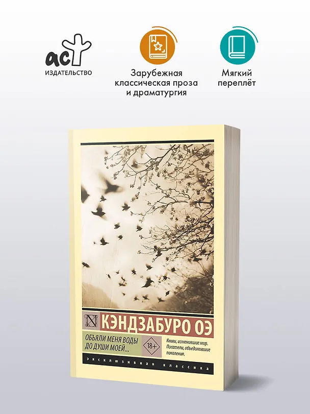 Книга Объяли меня воды до души моей... (Кэндзабуро Оэ) — 4