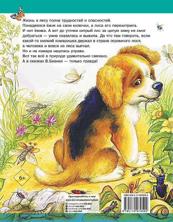 Книга Сказки (Виталий Бианки) — 2