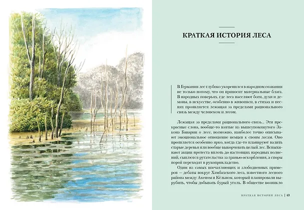 Книга Загадки леса. Удивительная жизнь зеленой экосистемы планеты (Адриане Лохнер) — 10