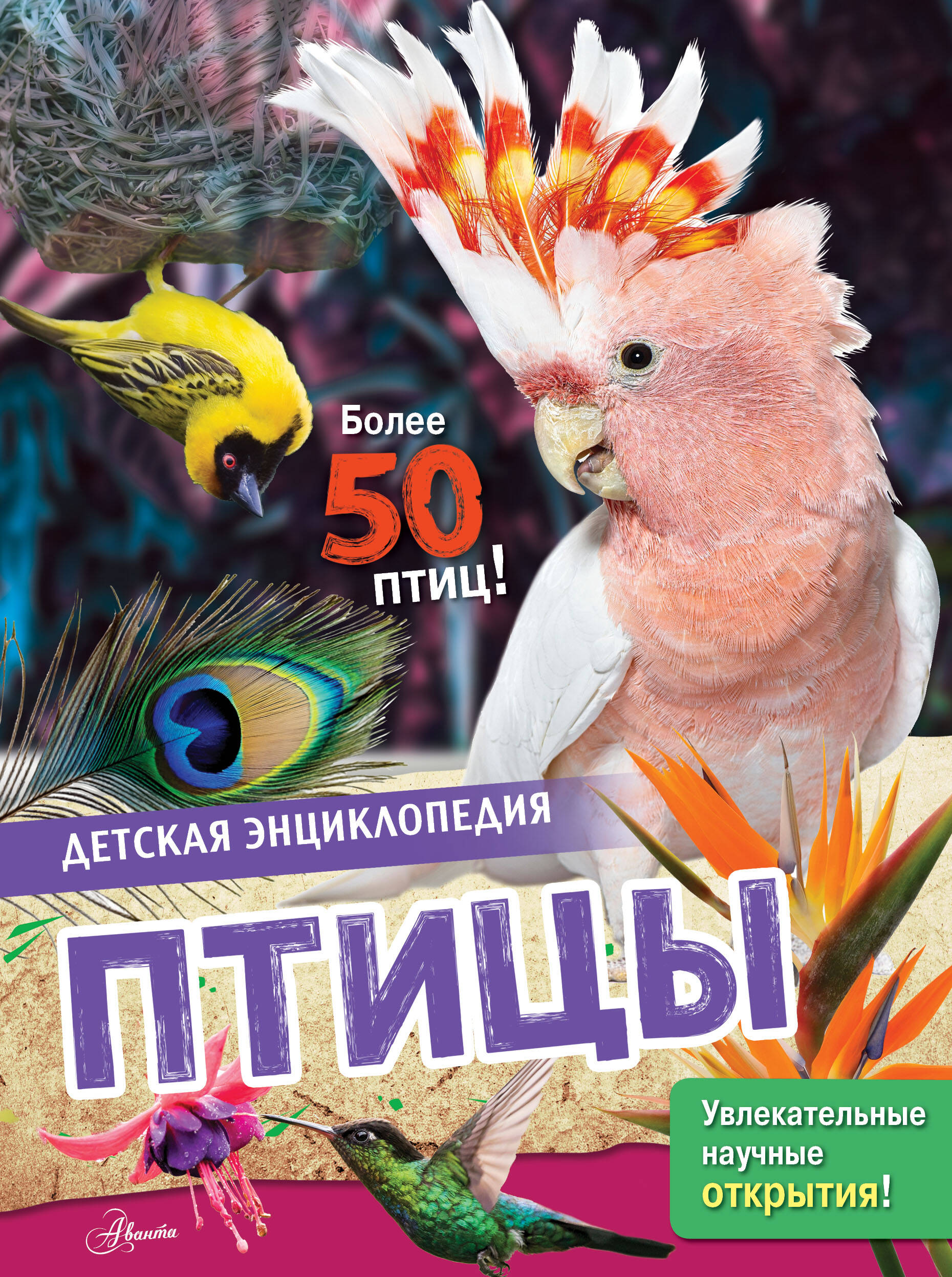 Энн МакРей Птицы